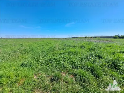 Land Plots for Sale in Branesti/Vadu Anei, Ilfov - foto 8