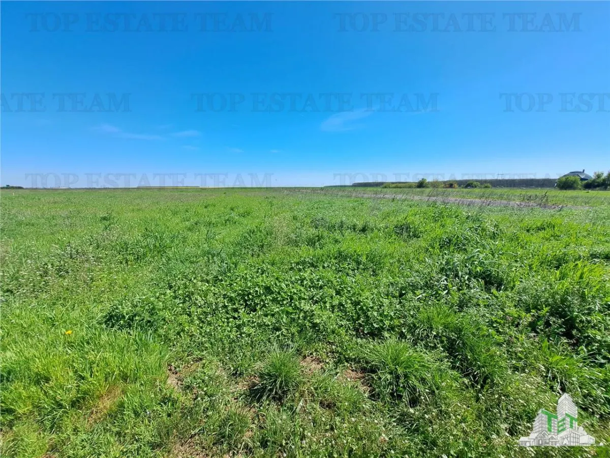 Land Plots for Sale in Branesti/Vadu Anei, Ilfov - foto 8