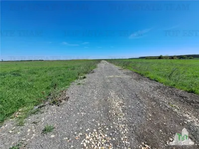 Land Plots for Sale in Branesti/Vadu Anei, Ilfov - foto 9