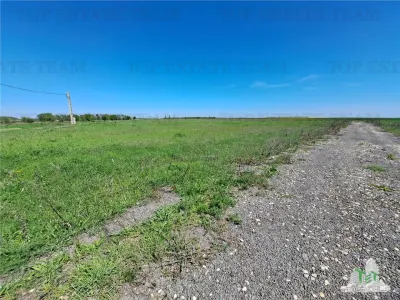Land Plots for Sale in Branesti/Vadu Anei, Ilfov - foto 10
