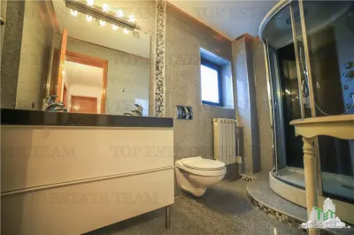 Villa Suitable for Residential or Office Use, Iancu Nicolae Boulevard - foto 12