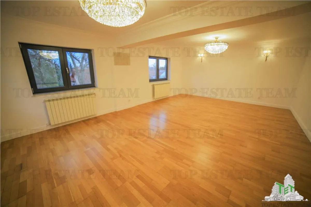 Villa Suitable for Residential or Office Use, Iancu Nicolae Boulevard - foto 16