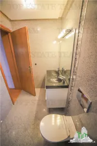 Villa Suitable for Residential or Office Use, Iancu Nicolae Boulevard - foto 18