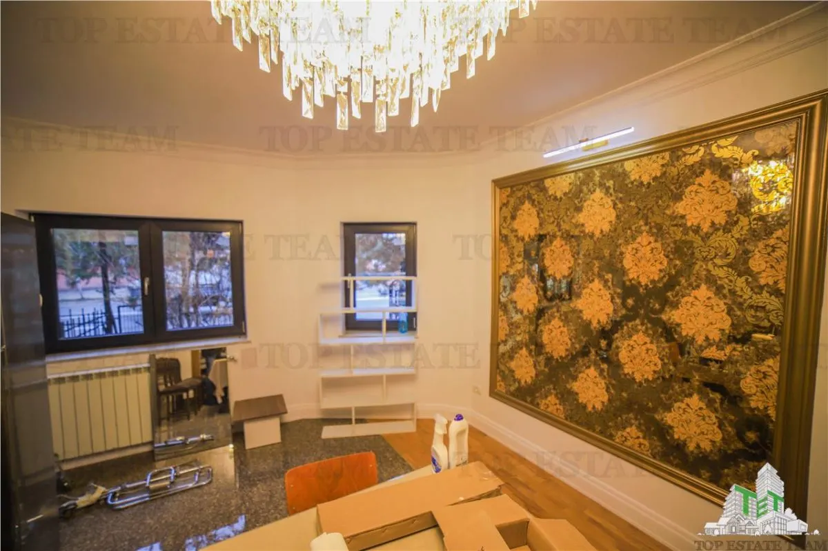 Villa Suitable for Residential or Office Use, Iancu Nicolae Boulevard - foto 19