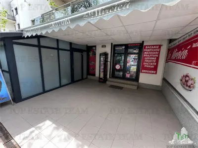 Commercial Space for Lease in Băneasa / Petrom City - Bucuresti