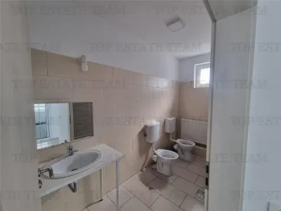 Villa for Rent Otopeni-Odai - foto 16
