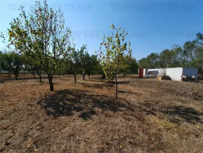 Agricultural and Building Land Plot 2 Parcel A326/49, Agigea - foto 12