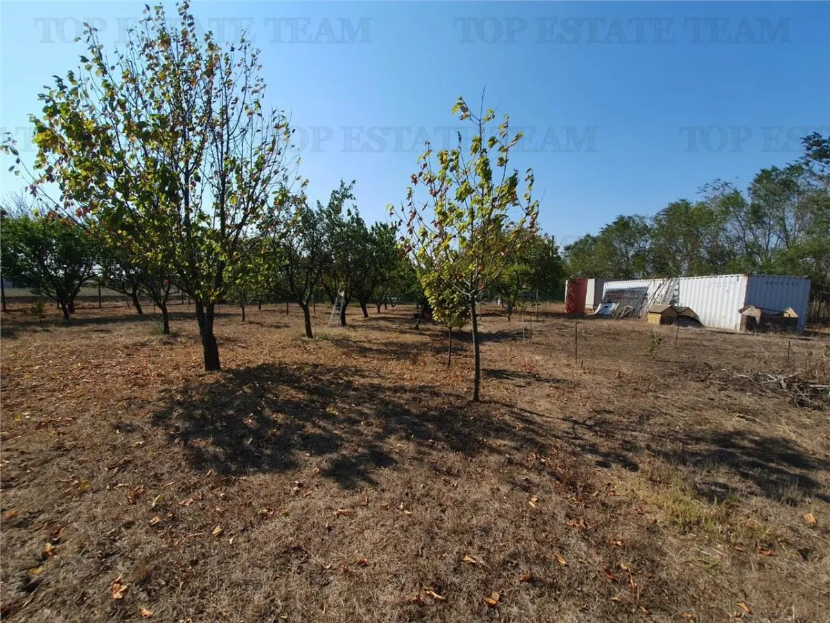 Agricultural and Building Land Plot 2 Parcel A326/49, Agigea - foto 12