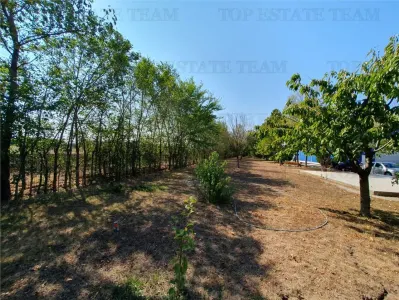 Agricultural and Building Land Plot 2 Parcel A326/49, Agigea - foto 13