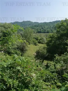 11,230 m² Land with Manor House – Requires Renovation - foto 3
