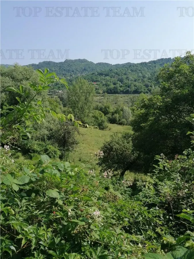 11,230 m² Land with Manor House – Requires Renovation - foto 3