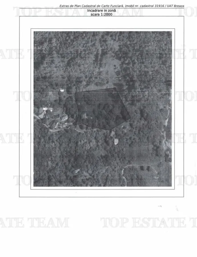11,230 m² Land with Manor House – Requires Renovation - foto 8