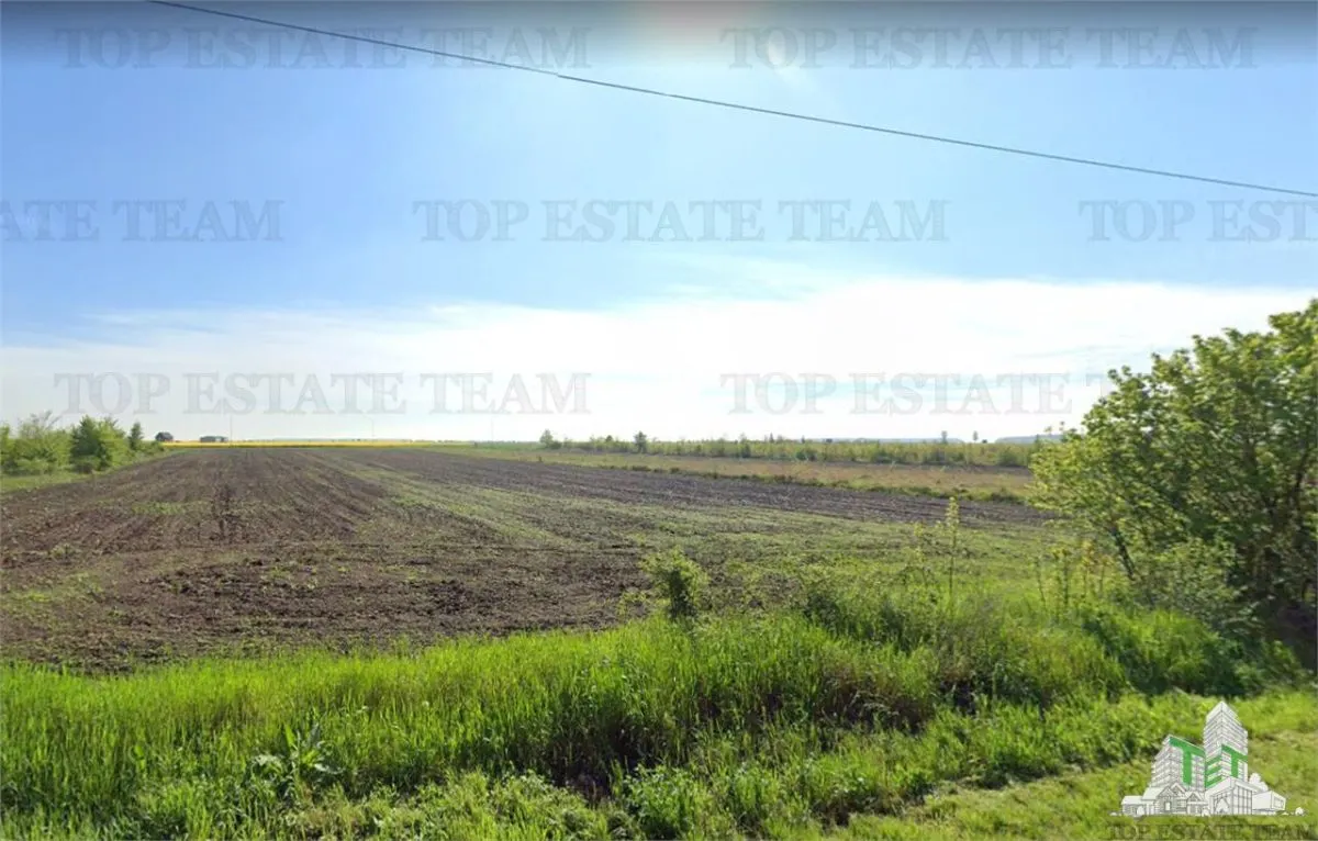 Terrain à Vendre à Brănești avec Accès à l'Autoroute Soarelui - foto 9