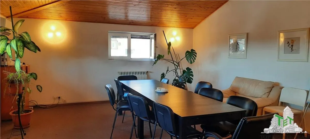Office/Legal Practice Villa for Sale, Domenii, Premium North Location - foto 10