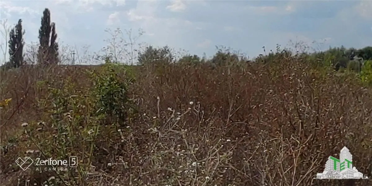 Urban Land Plot for Sale 28,200 sqm Bucharest Sector 6 - foto 7