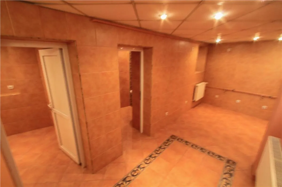 Charming Villa for Residential or Office Use, Calea Dorobanti - foto 8