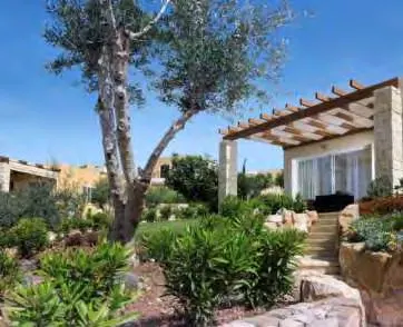 Apartamento en Venta en Paphos - foto 11