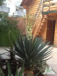 Hôtel à Vendre à Budva, Monténégro - foto 9