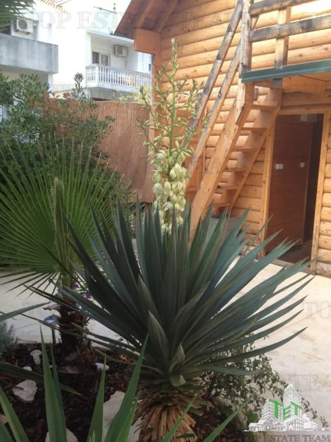Hôtel à Vendre à Budva, Monténégro - foto 9