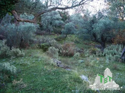 Building Plot for Sale in Bar, Montenegro - foto 3