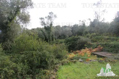 Building Land for Sale in Tivat, Montenegro - Tivat