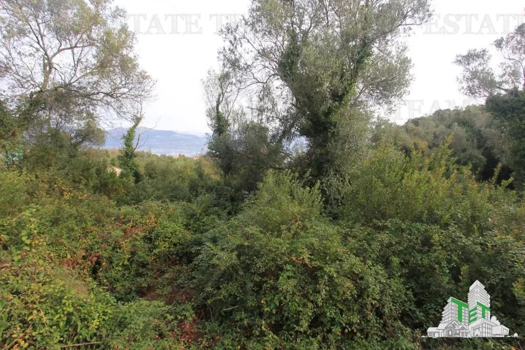Terreno para Construir en Venta en Tivat, Montenegro - foto 2