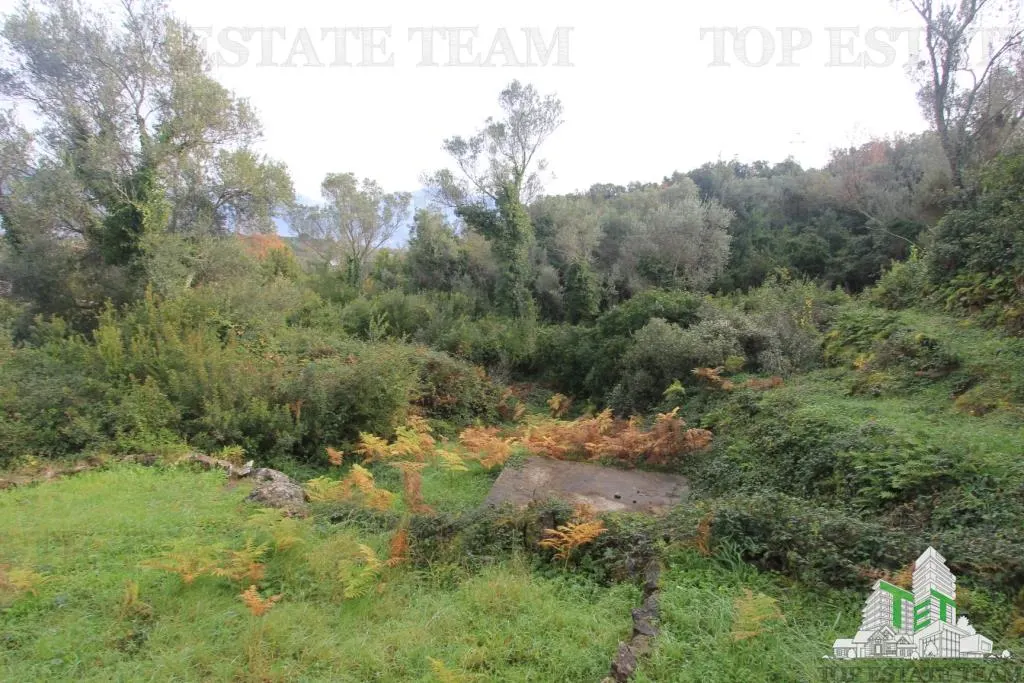 Terreno para Construir en Venta en Tivat, Montenegro - foto 6