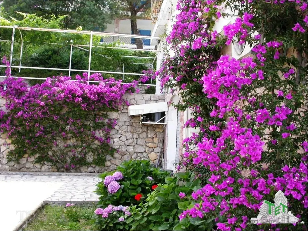 Villa for Sale in Herceg-Novi, Montenegro - foto 8