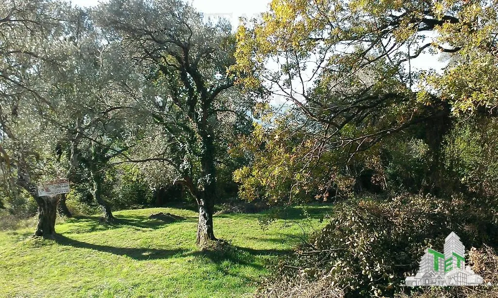 Building Land for Sale in Tivat, Montenegro - foto 1