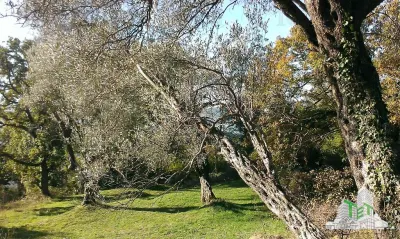 Building Land for Sale in Tivat, Montenegro - foto 2