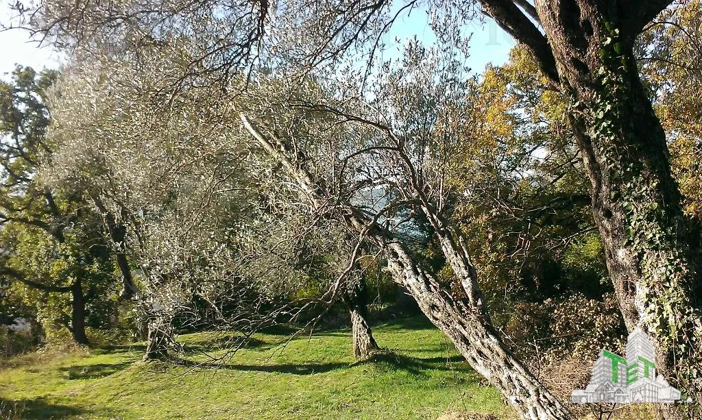 Building Land for Sale in Tivat, Montenegro - foto 2