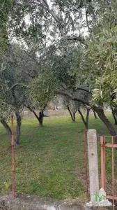 Building Land for Sale in Budva, Montenegro - foto 2