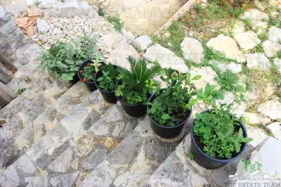Villa for Sale in Herceg-Novi, Montenegro - foto 11