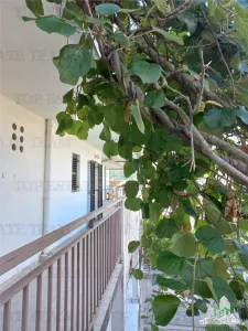 Apartment for Sale in Kotor, Montenegro - Stoliv