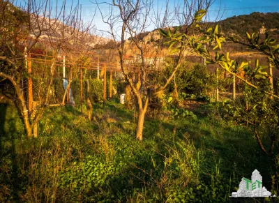 Villa en Venta en Budva, Montenegro - foto 20