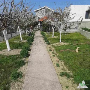 Villa en Venta en Bar, Montenegro - foto 14