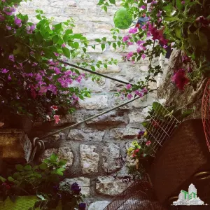 Commercial Space for Sale in Budva, Montenegro - foto 2