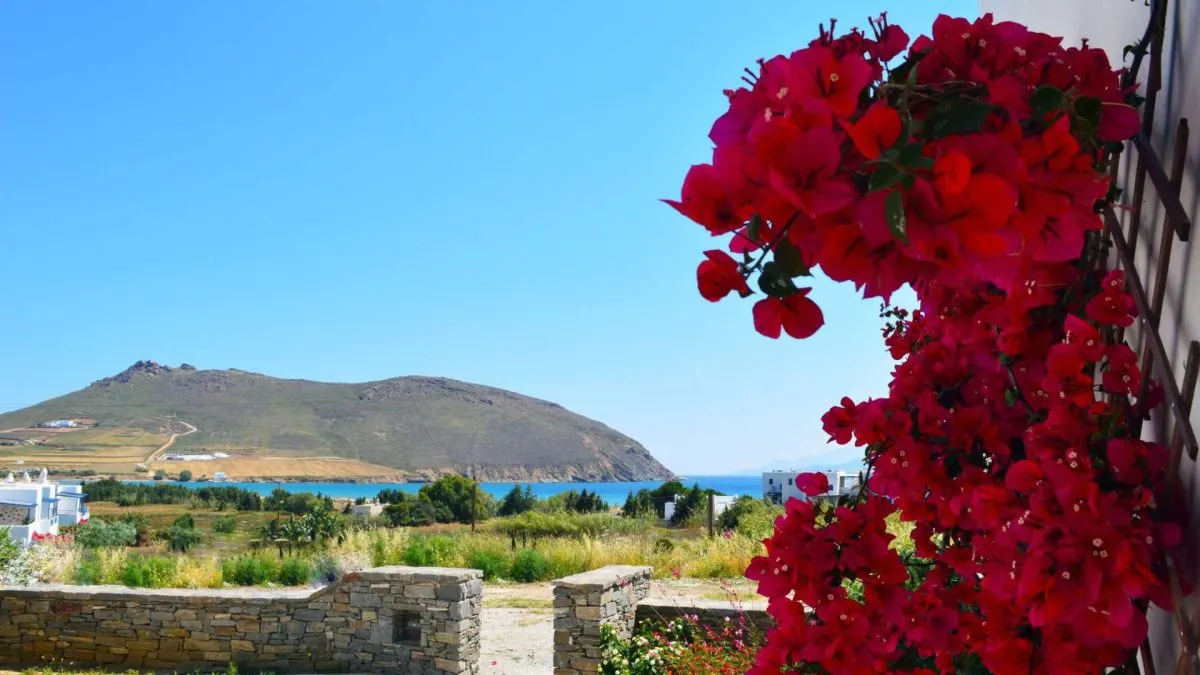 Apartment for Sale in Paros, Greece - foto 10