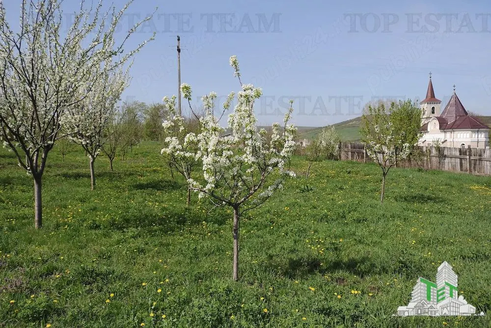 Development Land 3,481 sqm, Loamnes, Sibiu – Mains Services - foto 6