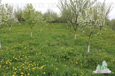 Development Land 3,481 sqm, Loamnes, Sibiu – Mains Services - foto 7
