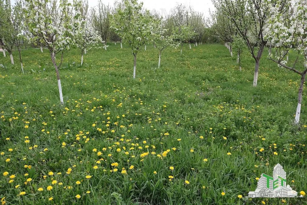 Development Land 3,481 sqm, Loamnes, Sibiu – Mains Services - foto 9