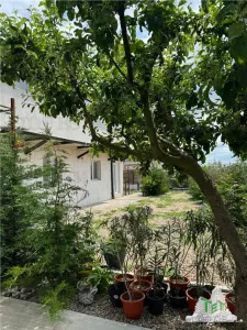 House / villa for sale sqm in 23 August - foto 3