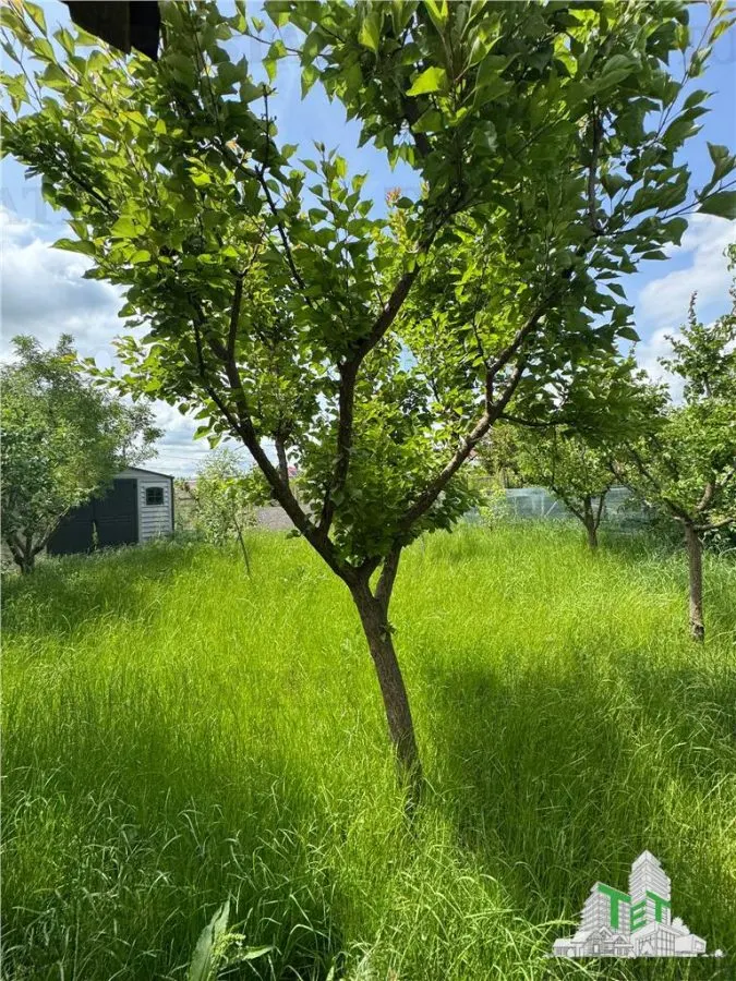 House / villa for sale sqm in 23 August - foto 9