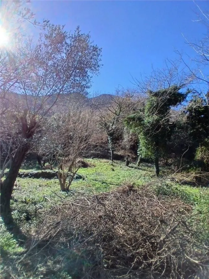 Terrain à Vendre à Kotor - foto 4