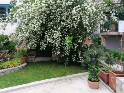 House for Sale in Budva - foto 15
