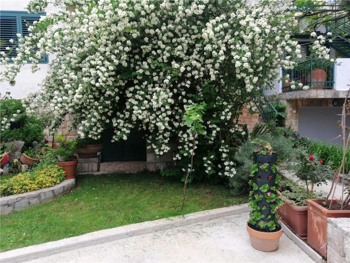 House for Sale in Budva - foto 15