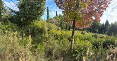 Teren de vanzare in Herceg-Novi - foto 17