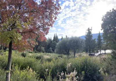 Teren de vanzare in Herceg-Novi - foto 5