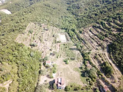 Terrain à Vendre à Kotor - foto 2