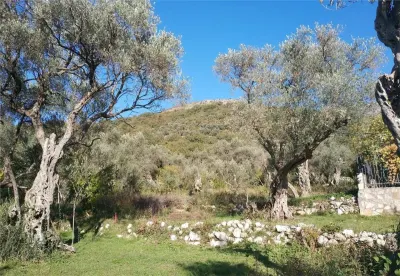 Terrain à Vendre à Budva - Kamenovo